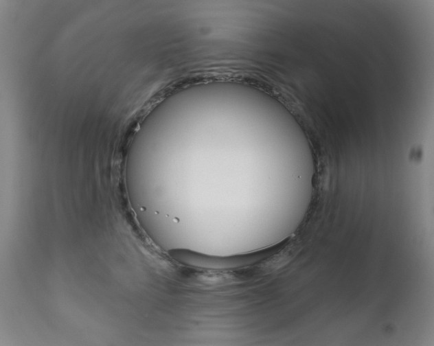 X0000111000712200906191144