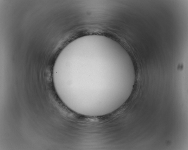 X0000111000715200906191144