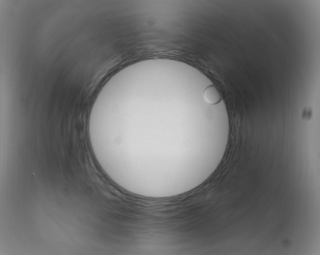 X0000111000716200906191144