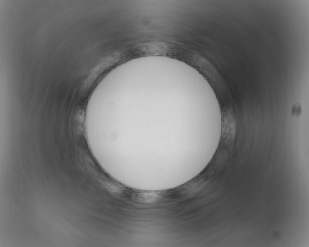 X0000111000717200906191144