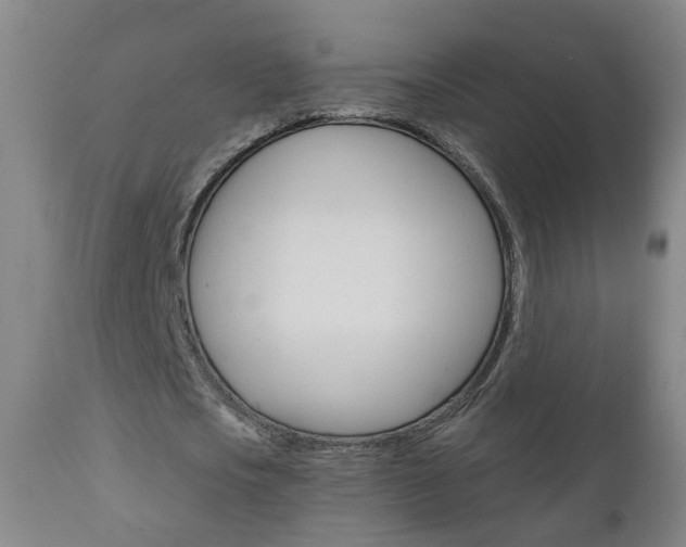 X0000111000721200906191143