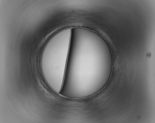 X0000111000722200906191143