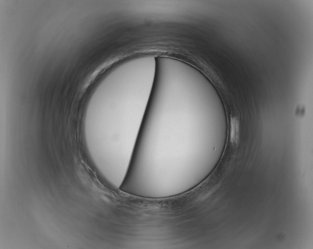 X0000111000723200906191143