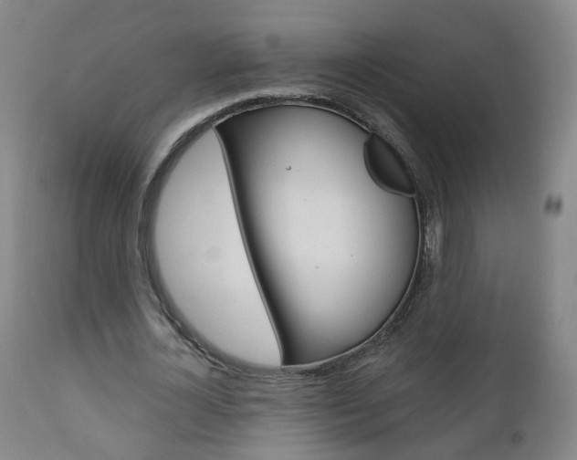 X0000111000724200906191143