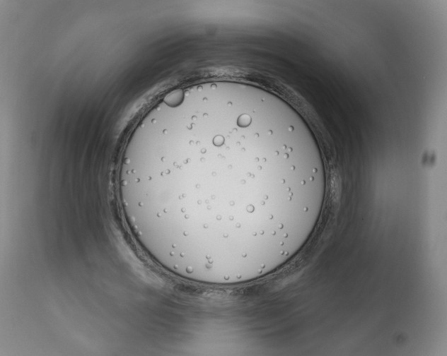X0000111000725200906191143