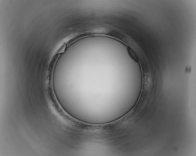 X0000111000726200906191143