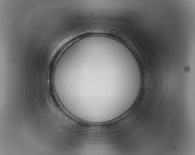 X0000111000727200906191143
