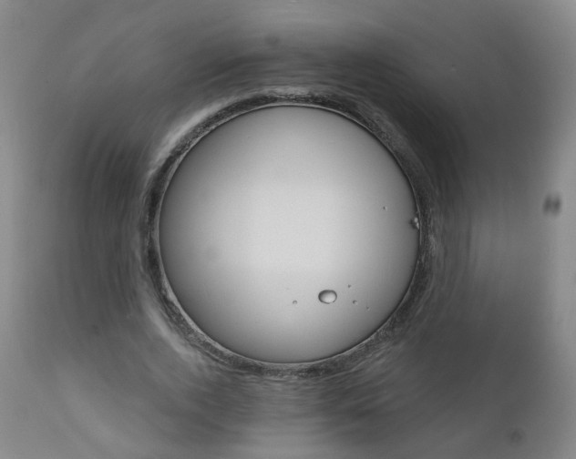 X0000111000728200906191143