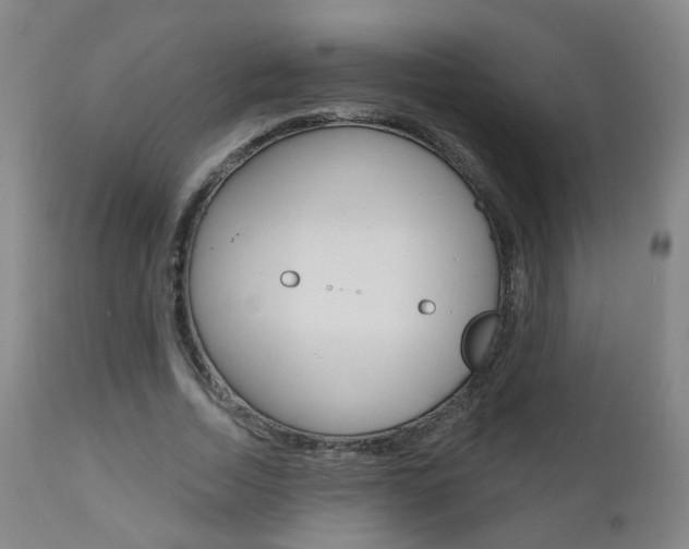 X0000111000730200906191143