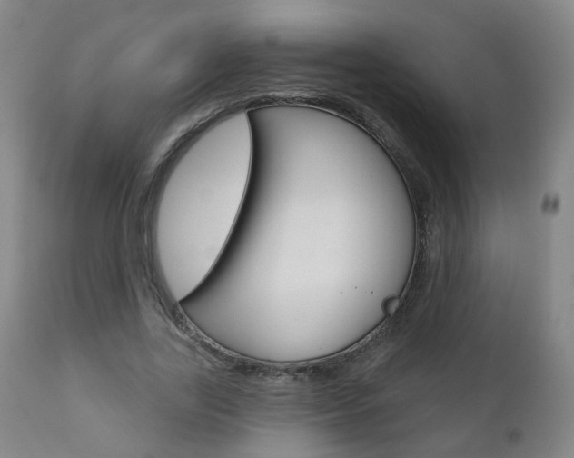 X0000111000731200906191143