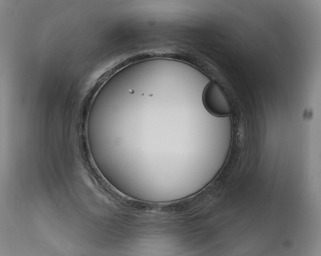 X0000111000732200906191143