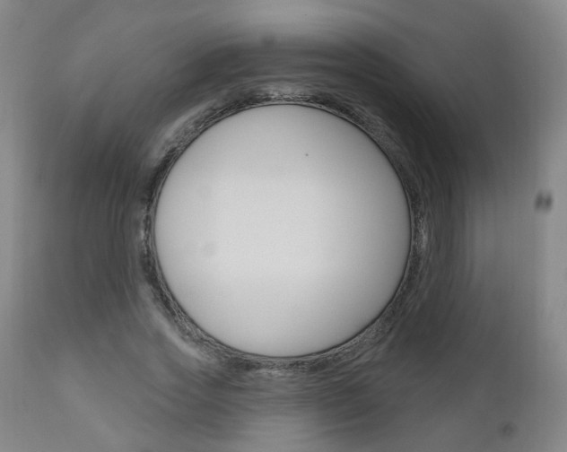 X0000111000733200906191143