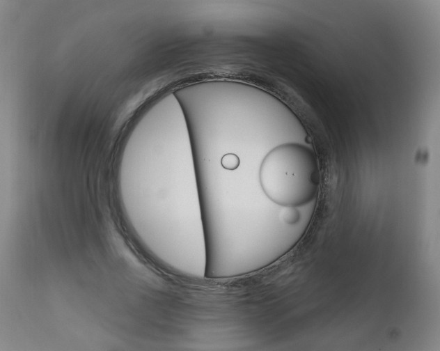 X0000111000734200906191143