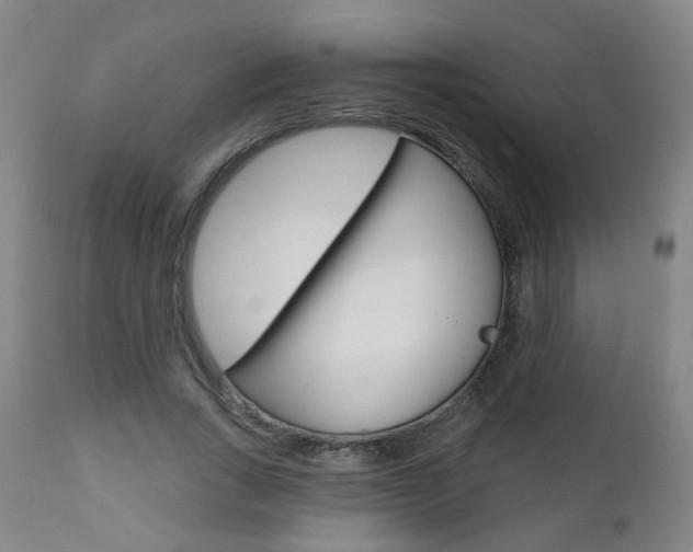 X0000111000735200906191143
