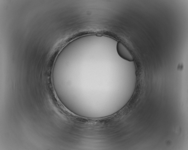 X0000111000736200906191143