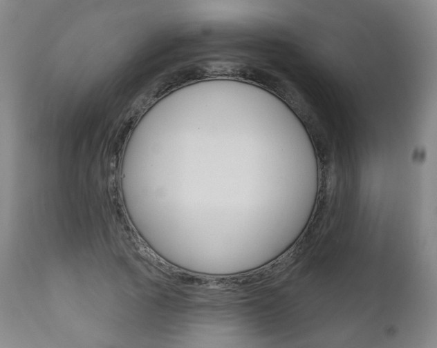 X0000111000737200906191143