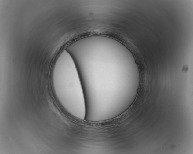 X0000111000738200906191143