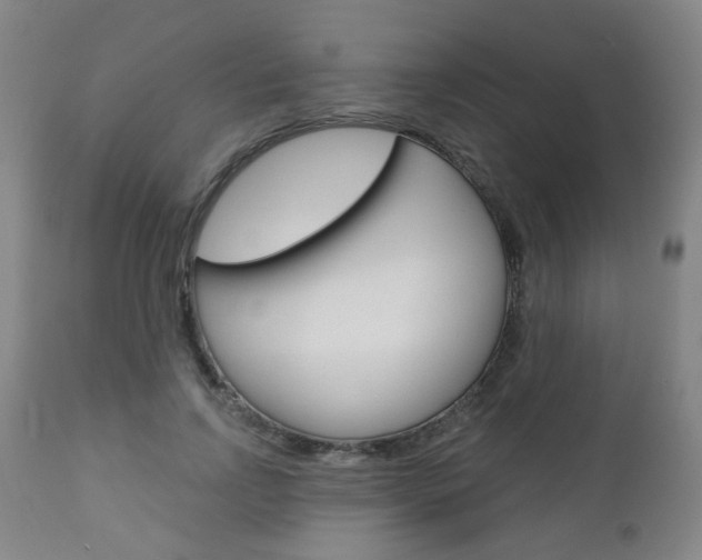 X0000111000742200906191143