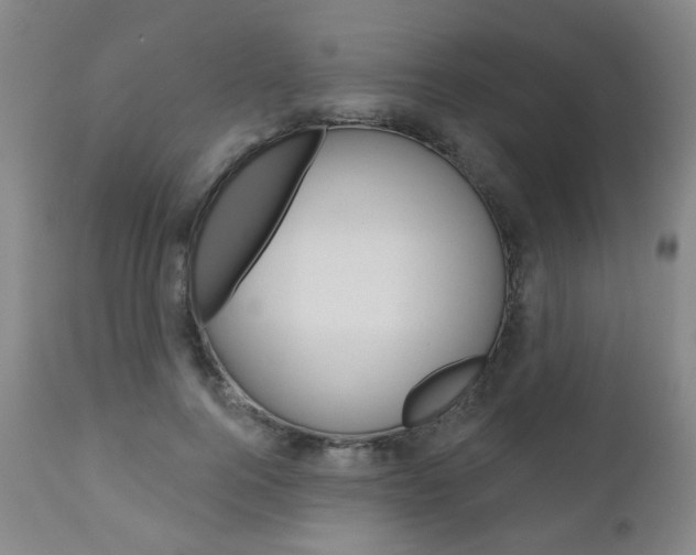 X0000111000744200906191143