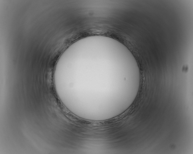 X0000111000745200906191143