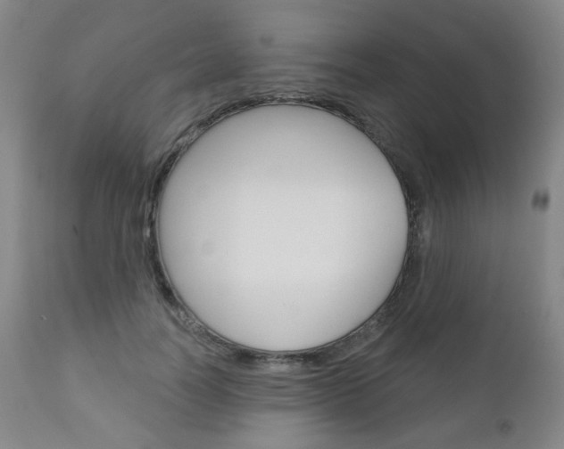 X0000111000746200906191143