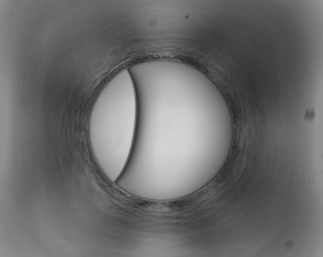 X0000111000747200906191143