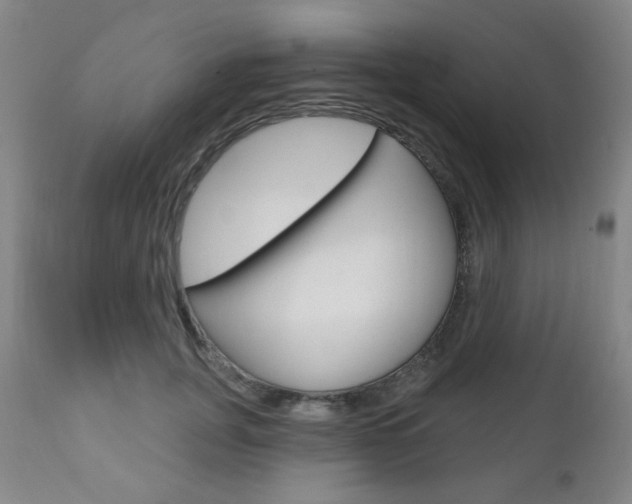 X0000111000751200906191143