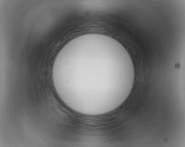 X0000111000752200906191143