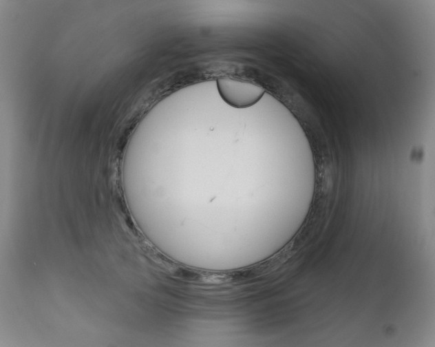 X0000111000753200906191143