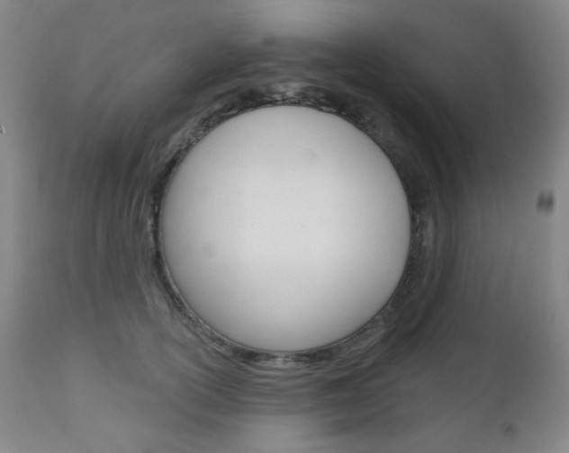 X0000111000754200906191143