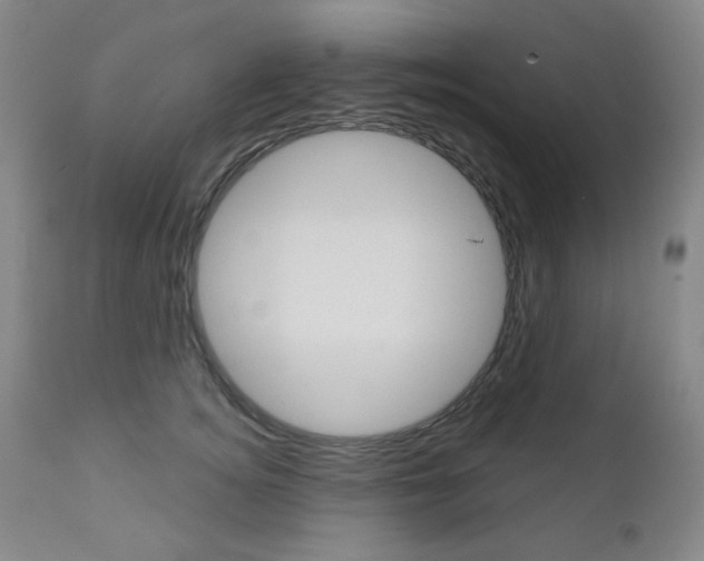 X0000111000756200906191143