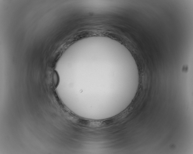 X0000111000757200906191143