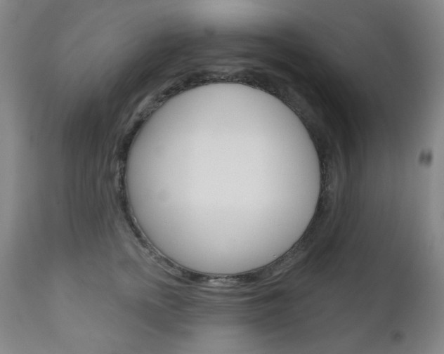 X0000111000758200906191143