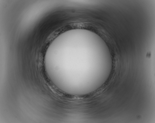 X0000111000760200906191143