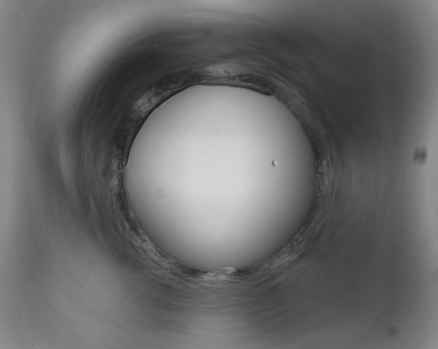 X0000111000762200906191143