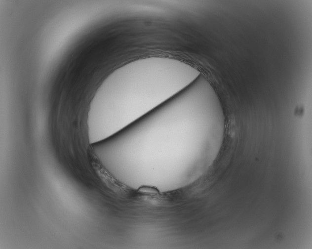 X0000111000763200906191143