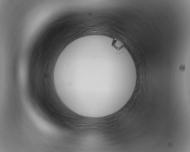 X0000111000764200906191144