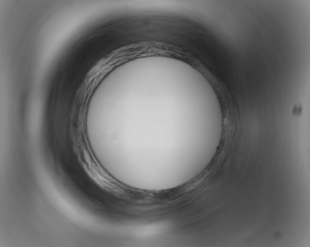 X0000111000765200906191144