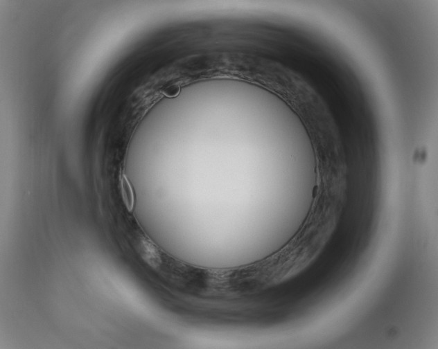X0000111000766200906191144