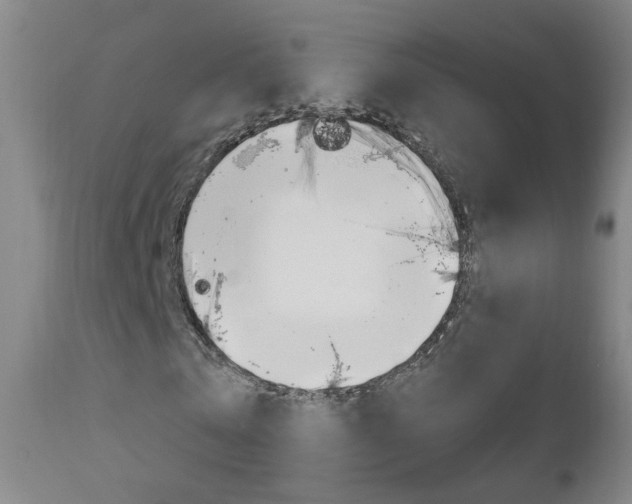 X0000111000769200906191143