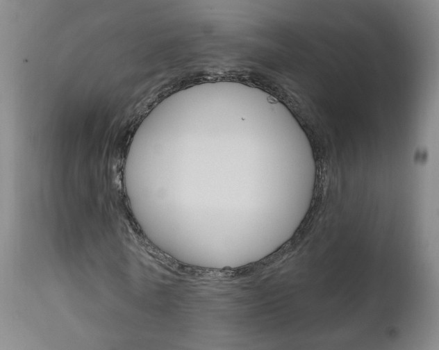 X0000111000770200906191143