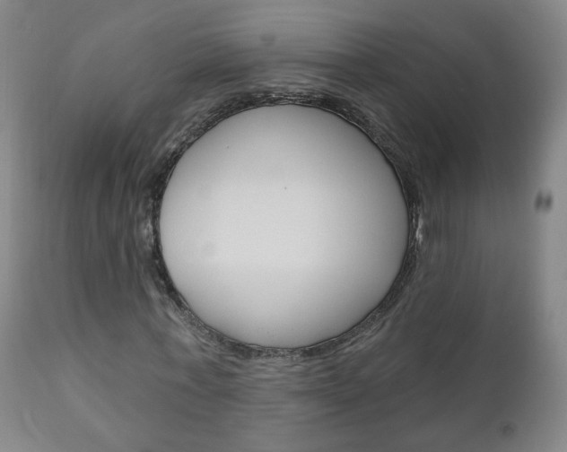X0000111000771200906191143