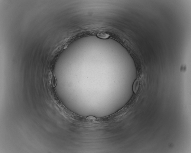 X0000111000772200906191143