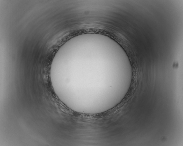 X0000111000774200906191143