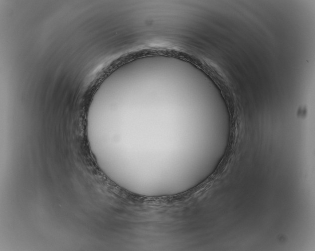 X0000111000776200906191143