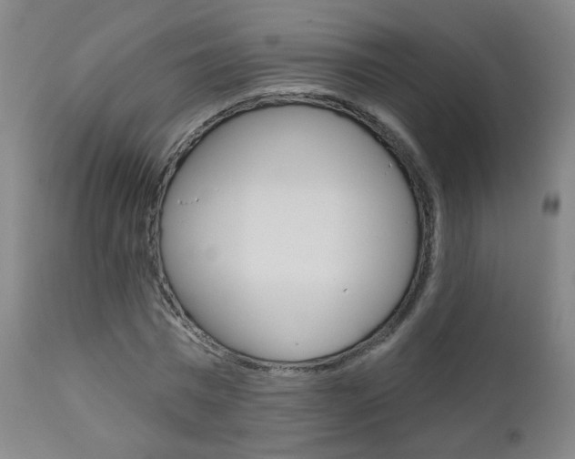 X0000111000777200906191142