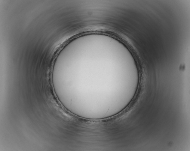 X0000111000778200906191142