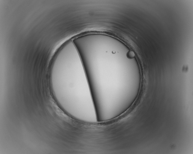 X0000111000779200906191142