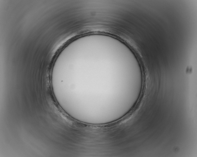 X0000111000782200906191142