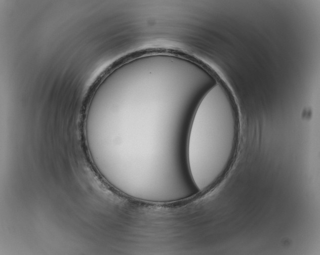 X0000111000783200906191142